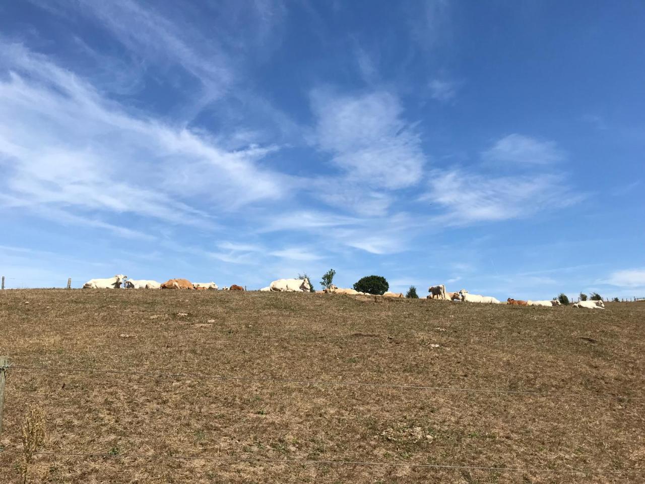 Smultronstallet Gardshotell Valleberga Buitenkant foto